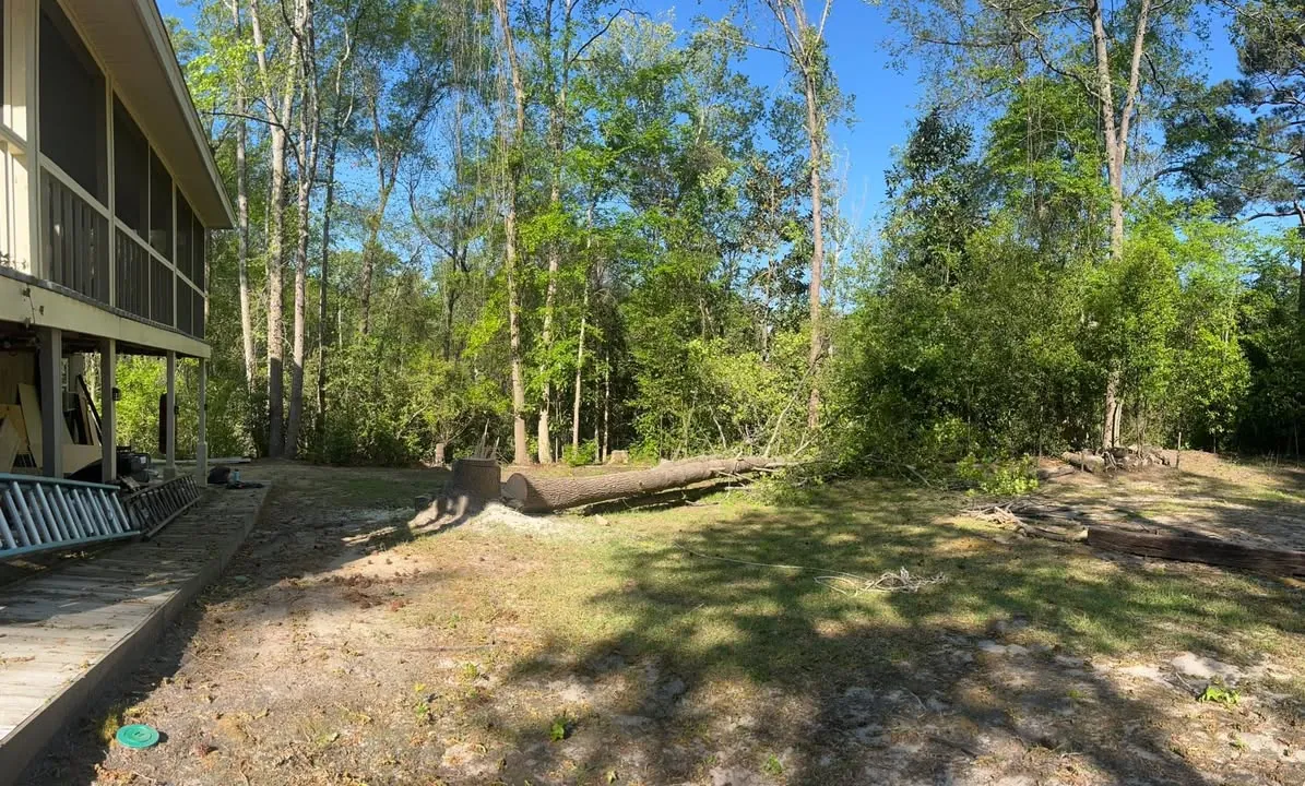 Lot clearing behind a house in McKean, PA
