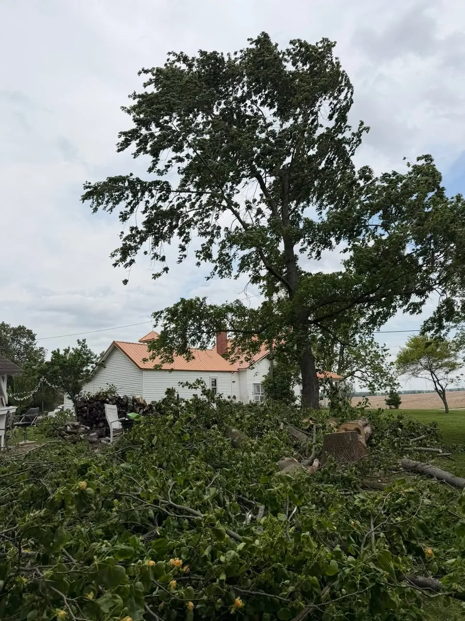 Broken branches and debris piled in a yard below a damaged tree