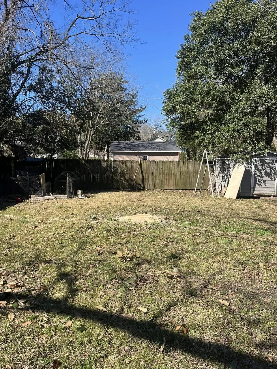 Backyard after a tree removal with the stump ground