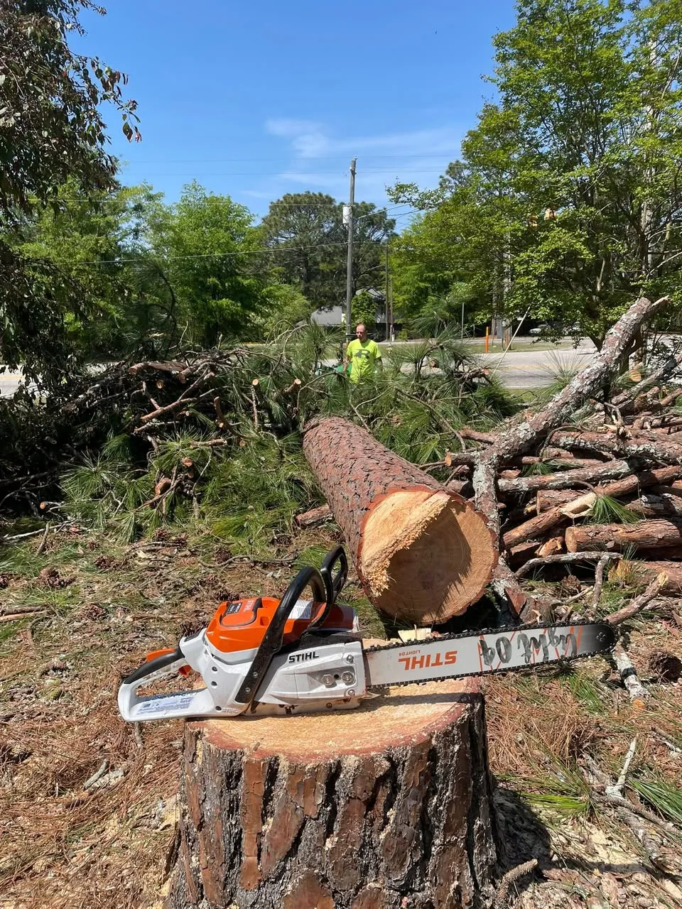 Chainsaw resting on a freshly cut pine stump next to stacked logs