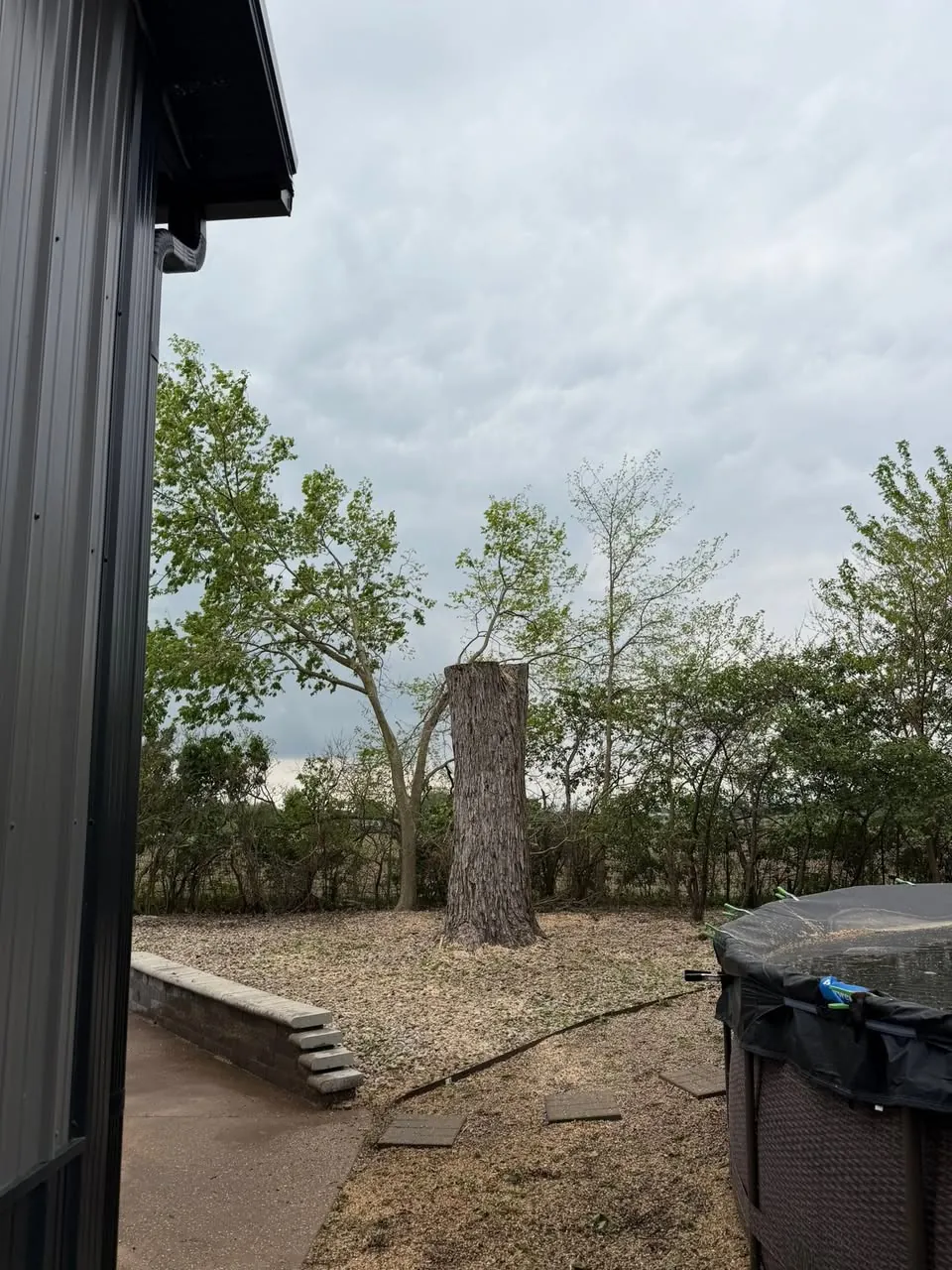 Tall tree removal near a garage in Corry, PA